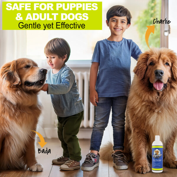 Vaporize 5-in-1 Pet Wash Shampoo - Image 3